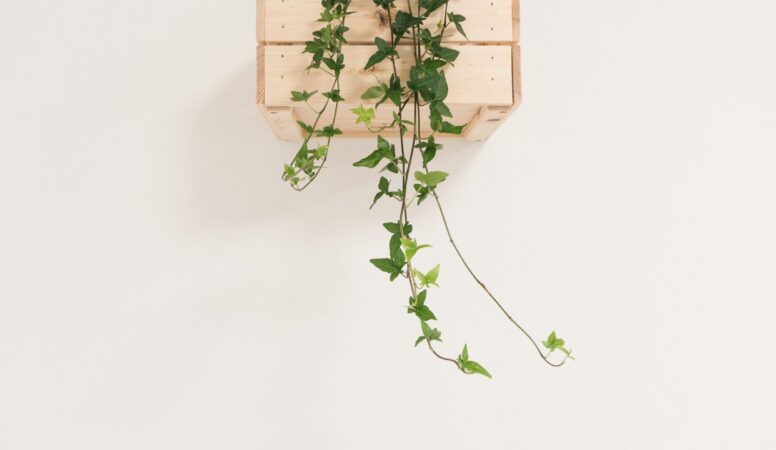 federica-galli-571119-unsplash-min