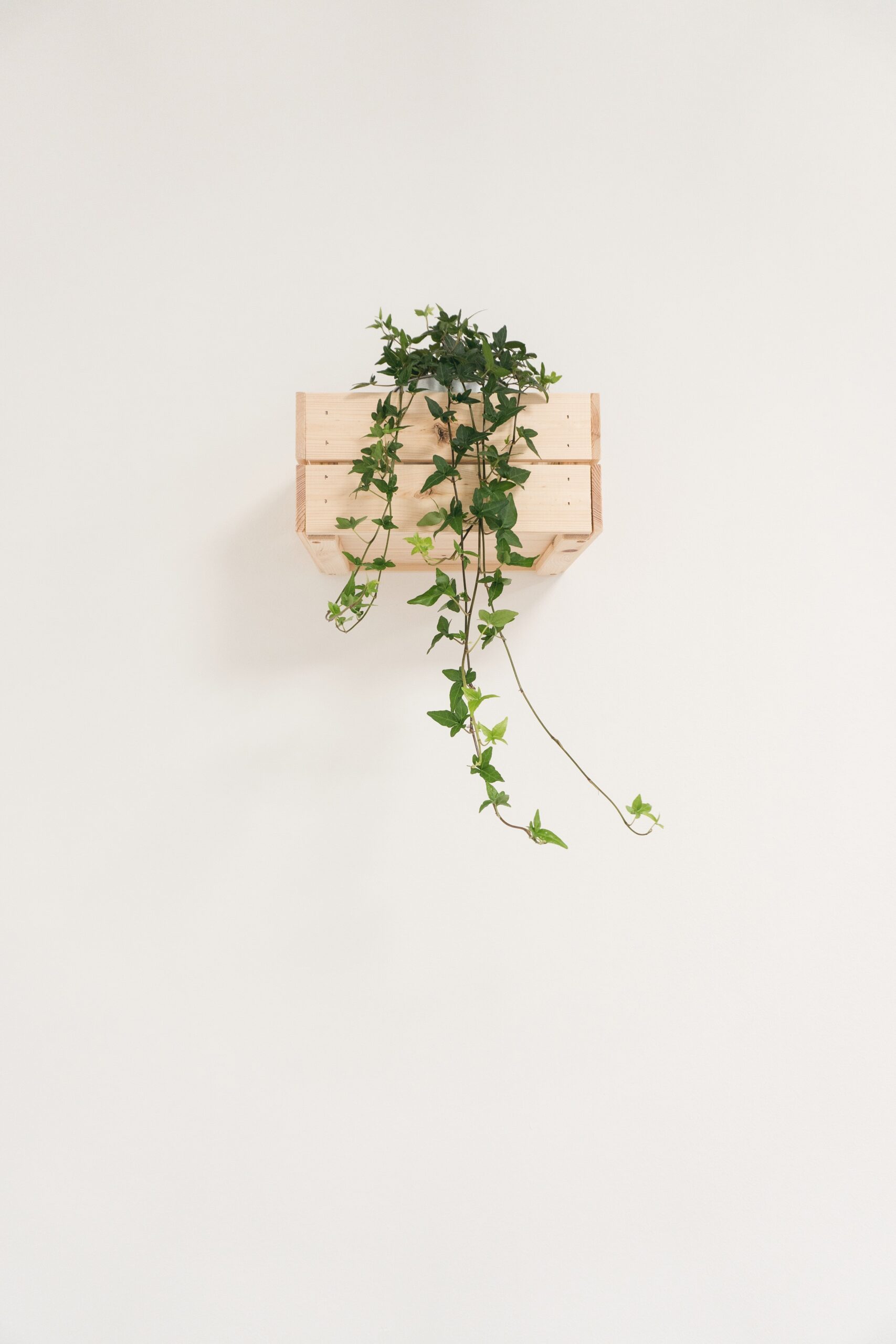 federica-galli-571119-unsplash-min federica-galli-571119-unsplash-min